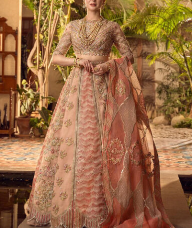 Embroidered Handworked Front Yoke On Organza
